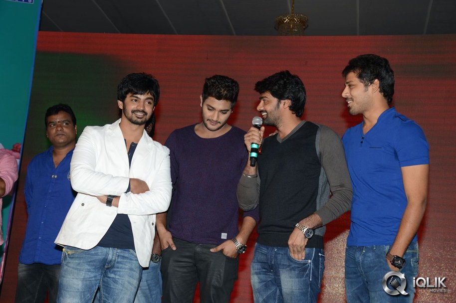 Bunny-N-Cherry-Movie-Audio-Launch